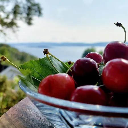 Fjord : Oslo Nordstrand