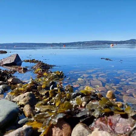 Fjord : Oslo *