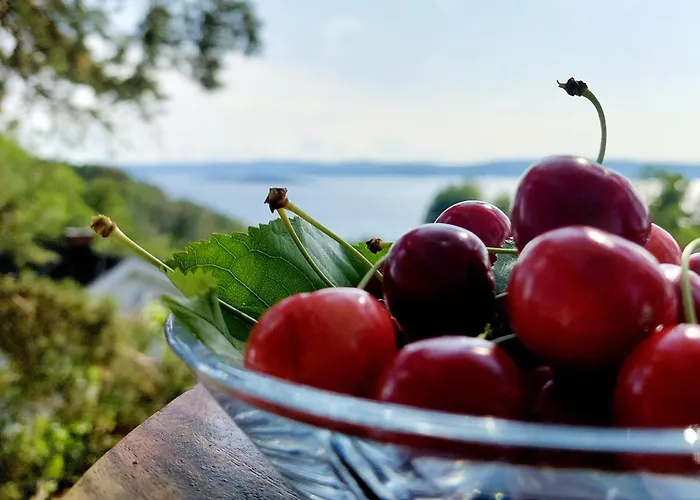 Fjord : Oslo Nordstrand